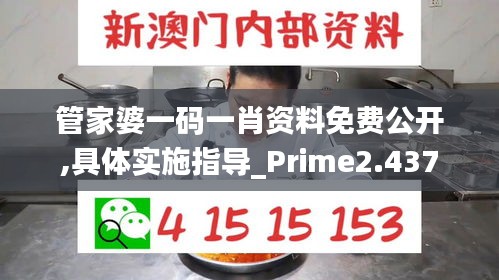 管家婆一码一肖资料免费公开,具体实施指导_Prime2.437