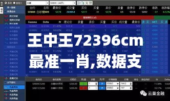 王中王72396cm最准一肖,数据支持策略解析_5DM8.562