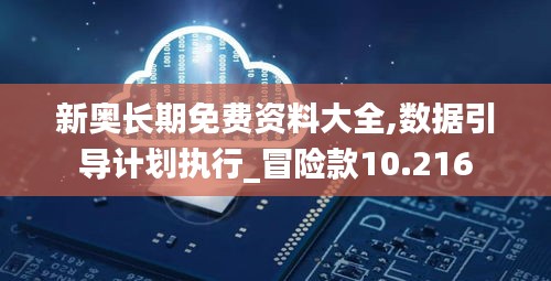新奥长期免费资料大全,数据引导计划执行_冒险款10.216