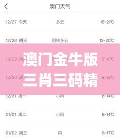 澳门金牛版三肖三码精准,全面计划执行_WP10.618
