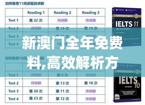 新澳门全年免费料,高效解析方法_suite4.597