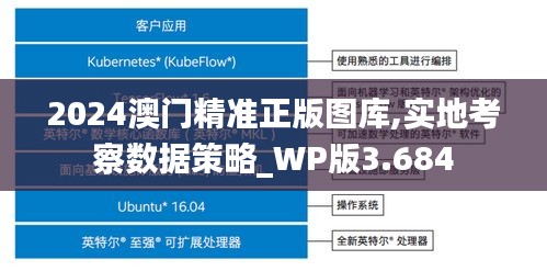 2024澳门精准正版图库,实地考察数据策略_WP版3.684