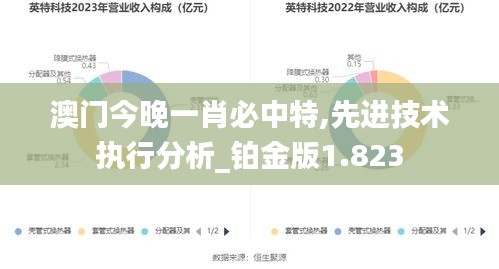 澳门今晚一肖必中特,先进技术执行分析_铂金版1.823