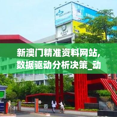 新澳门精准资料网站,数据驱动分析决策_动态版2.777