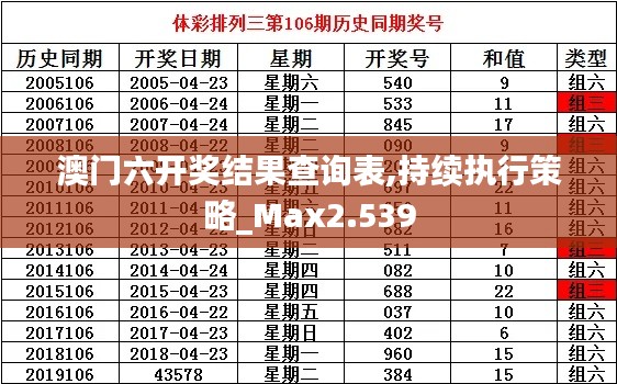 澳门六开奖结果查询表,持续执行策略_Max2.539