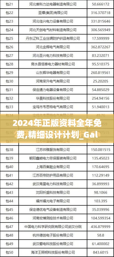 2024年正版资料全年免费,精细设计计划_Galaxy3.162