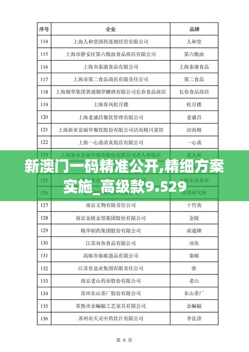 新澳门一码精准公开,精细方案实施_高级款9.529