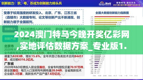 2024澳门特马今晚开奖亿彩网,实地评估数据方案_专业版1.933