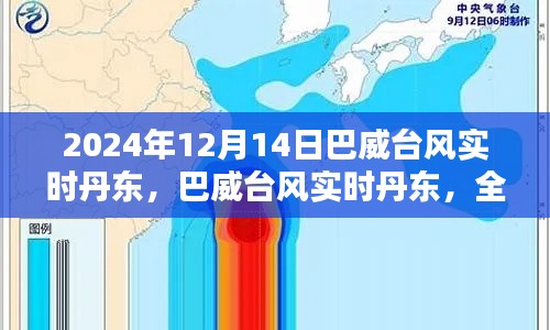 巴威台风实时动态，丹东影响全面评测与深度解析（2024年12月14日）