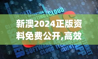 新澳2024正版资料免费公开,高效实施策略设计_MP7.814