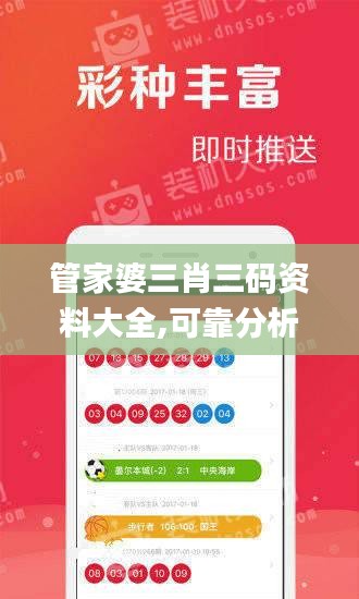 管家婆三肖三码资料大全,可靠分析解析说明_免费版11.634