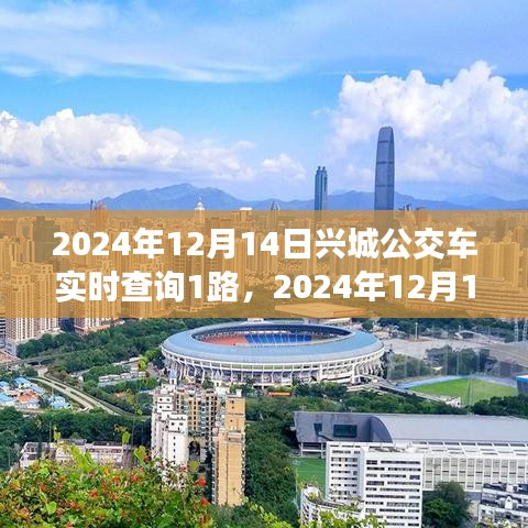 2024年12月14日兴城公交车实时查询指南，1路公交车出行详解