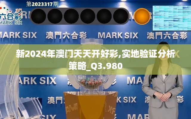 新2024年澳门天天开好彩,实地验证分析策略_Q3.980