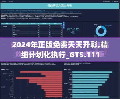 2024年正版免费天天开彩,精细计划化执行_GT5.111