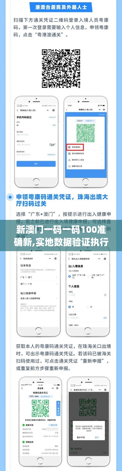 新澳门一码一码100准确新,实地数据验证执行_W6.850