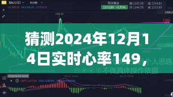 揭秘未来时刻，心率变化之旅与实时心率达149次/分的感受分享预测体验