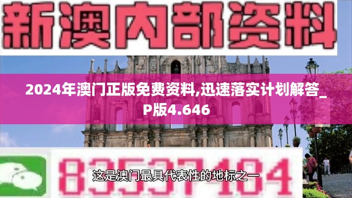 2024年澳门正版免费资料,迅速落实计划解答_P版4.646