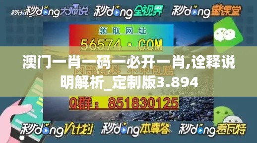 澳门一肖一码一必开一肖,诠释说明解析_定制版3.894