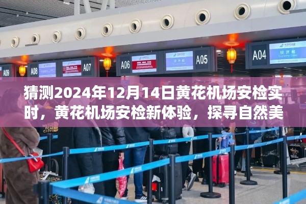 探寻自然美景之旅的心灵之旅，黄花机场安检新体验与未来预测（2024年12月14日实时）
