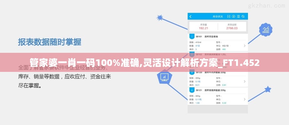 管家婆一肖一码100%准确,灵活设计解析方案_FT1.452