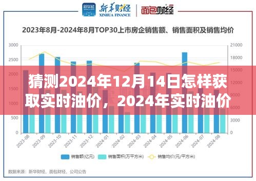 2024年12月14日实时油价获取攻略及评测，未来油价预测