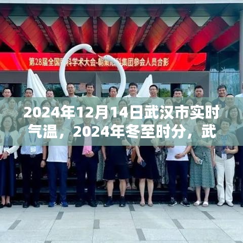 2024年冬至时分武汉气温的细语与回响