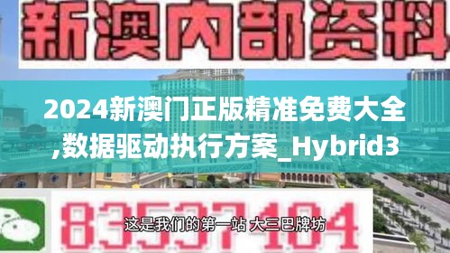 2024新澳门正版精准免费大全,数据驱动执行方案_Hybrid3.111