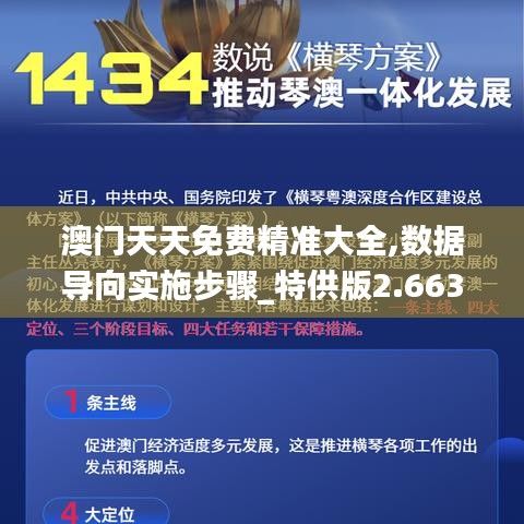 澳门天天免费精准大全,数据导向实施步骤_特供版2.663