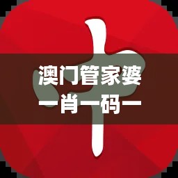 澳门管家婆一肖一码一中,高效执行计划设计_社交版1.666