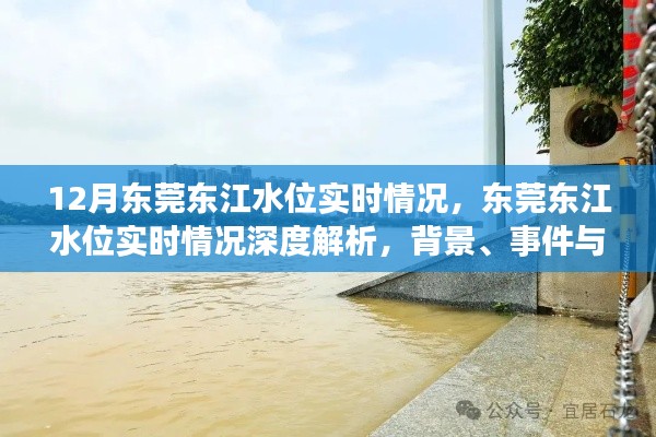 东莞东江水位实时情况深度解析，背景、事件与影响全览