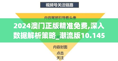 2024澳门正版精准免费,深入数据解析策略_潮流版10.145