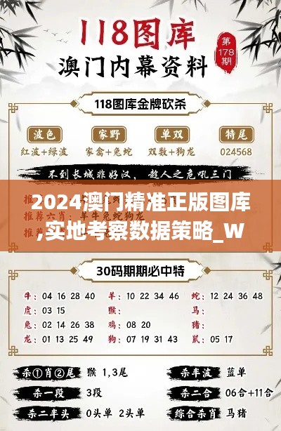 2024澳门精准正版图库,实地考察数据策略_WP版3.684