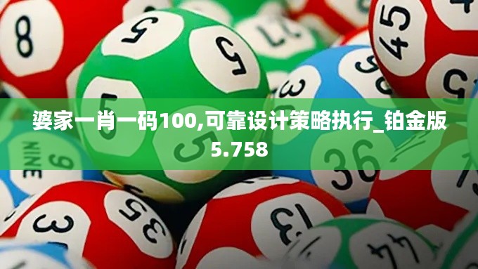 婆家一肖一码100,可靠设计策略执行_铂金版5.758