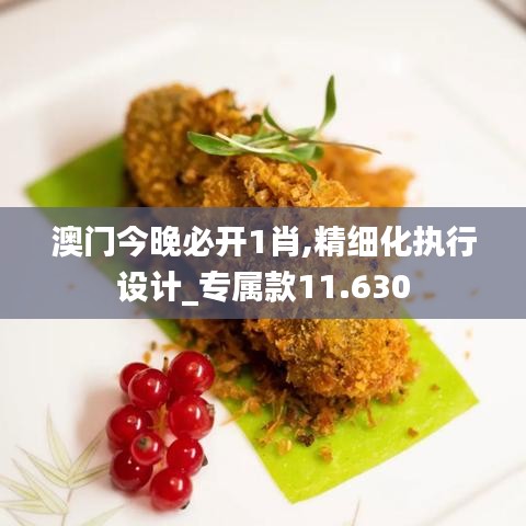 澳门今晚必开1肖,精细化执行设计_专属款11.630