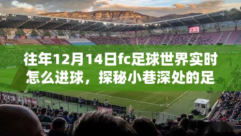 揭秘往年12月14日FC足球世界进球秘籍，小巷深处的秘密探秘！