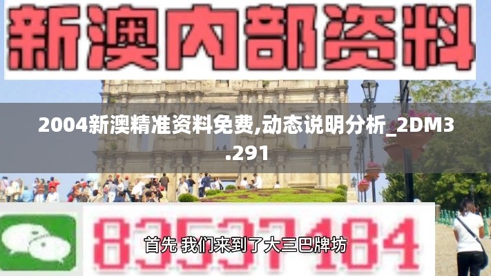 2004新澳精准资料免费,动态说明分析_2DM3.291