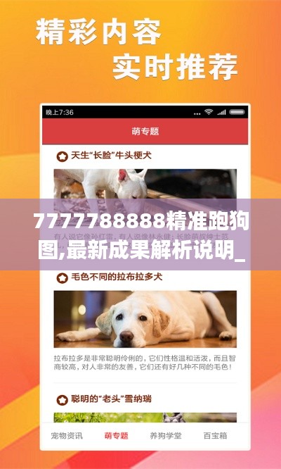 7777788888精准跑狗图,最新成果解析说明_安卓款4.309