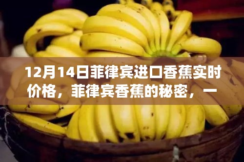菲律宾香蕉的实时价格与友情小确幸的温馨故事