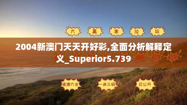 2004新澳门天天开好彩,全面分析解释定义_Superior5.739