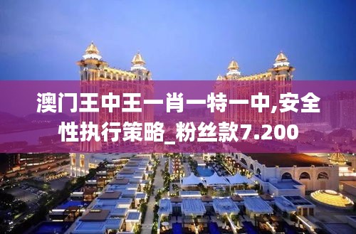 澳门王中王一肖一特一中,安全性执行策略_粉丝款7.200