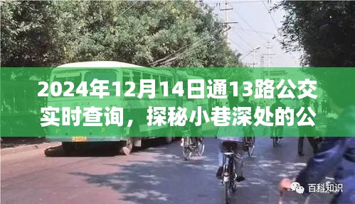 探秘通13路公交，小巷深处的奇缘与隐藏版特色小店实时查询之旅