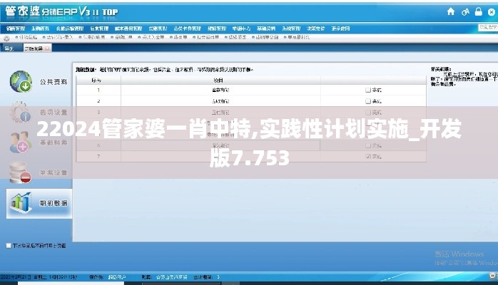 22024管家婆一肖中特,实践性计划实施_开发版7.753