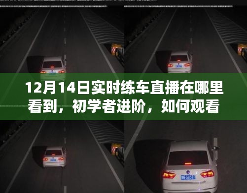 12月14日实时练车直播，初学者进阶指南及观看指南