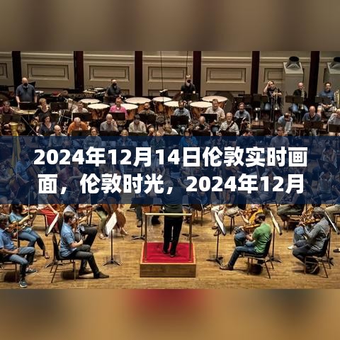 鸟面鹄形 第3页