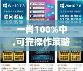一肖100%中,可靠操作策略方案_10DM10.382