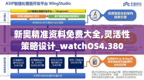 新奥精准资料免费大全,灵活性策略设计_watchOS4.380