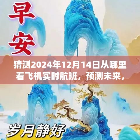 预测未来航班动态，探索2024年12月14日飞机实时航班的观察新视角