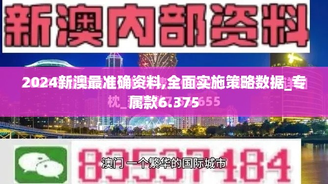 2024新澳最准确资料,全面实施策略数据_专属款6.375