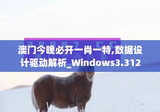 澳门今晚必开一肖一特,数据设计驱动解析_Windows3.312
