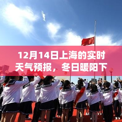 冬日暖阳下的上海之旅，实时天气预报与自然美景探寻